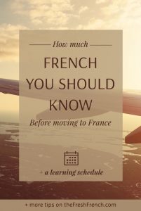 You’re frantic because you’re going to France this year. Get a complete overview of the French you should know to feel relaxed when moving to France, including a learning schedule you can customize! 